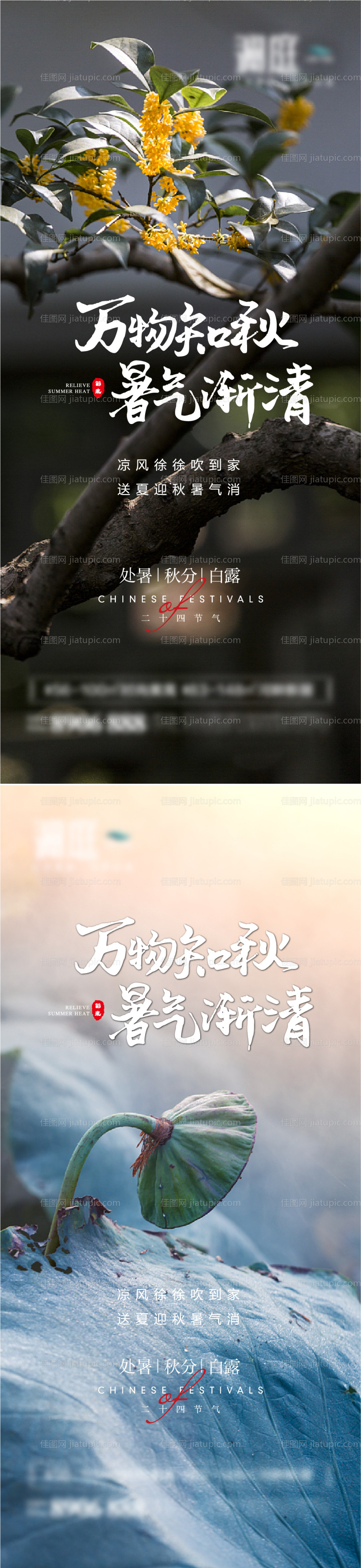 处暑白露秋分节气海报-源文件