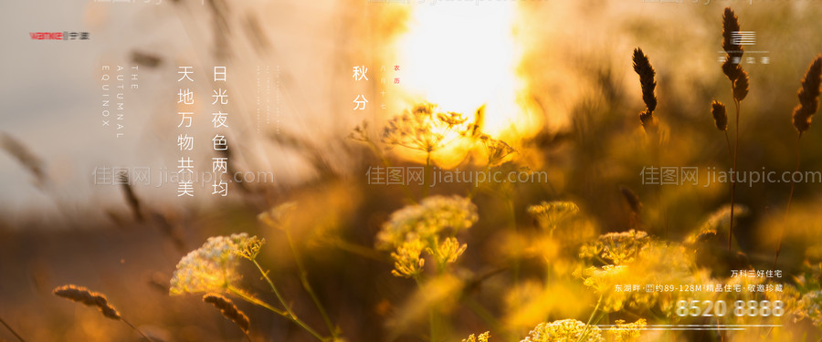 地产秋分刷屏主画面-源文件