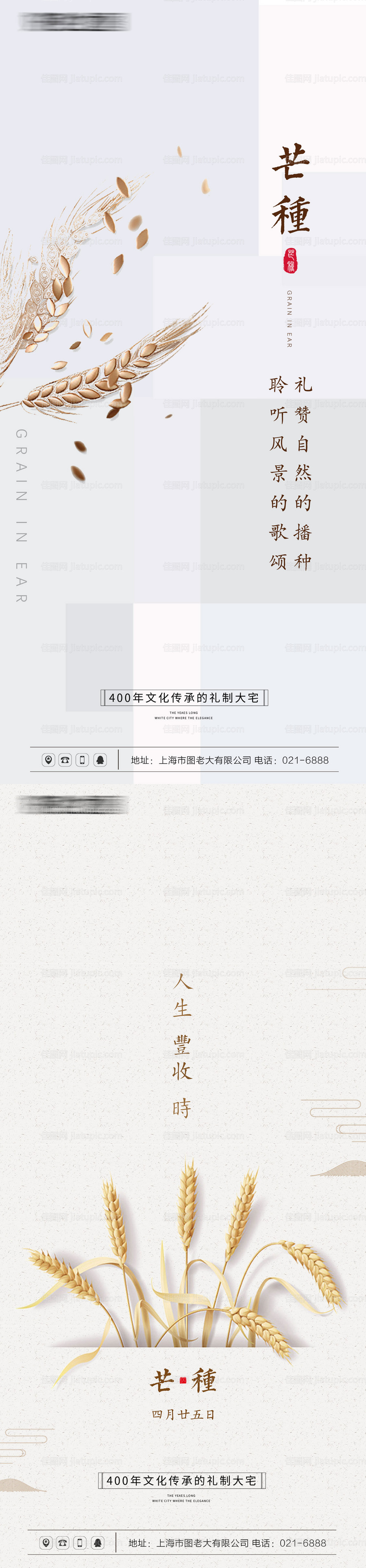 芒种节气海报-源文件