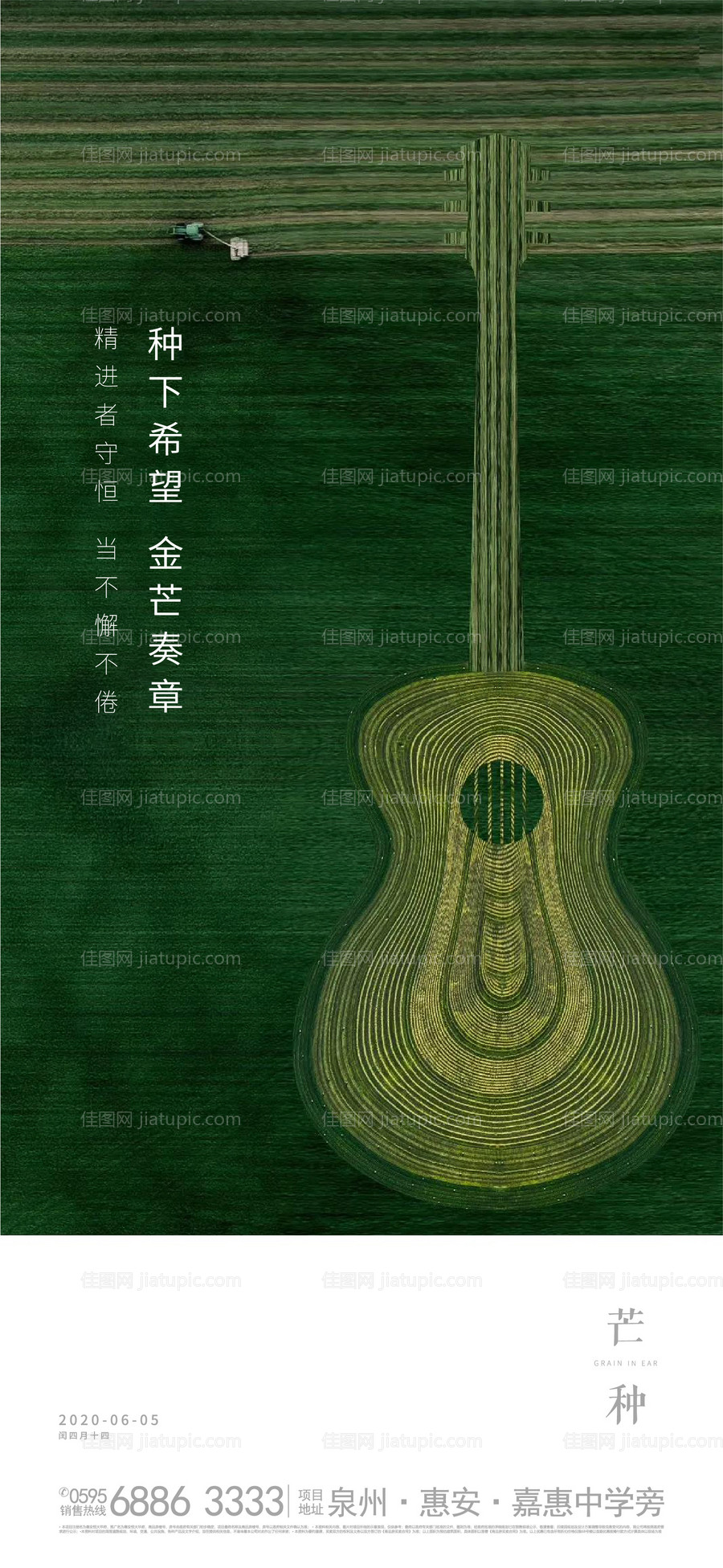 芒种节气海报-源文件