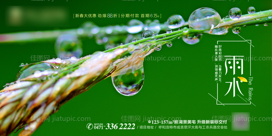 雨水海报-源文件