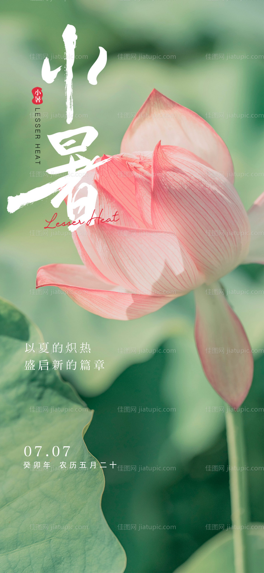 小暑节气海报-源文件