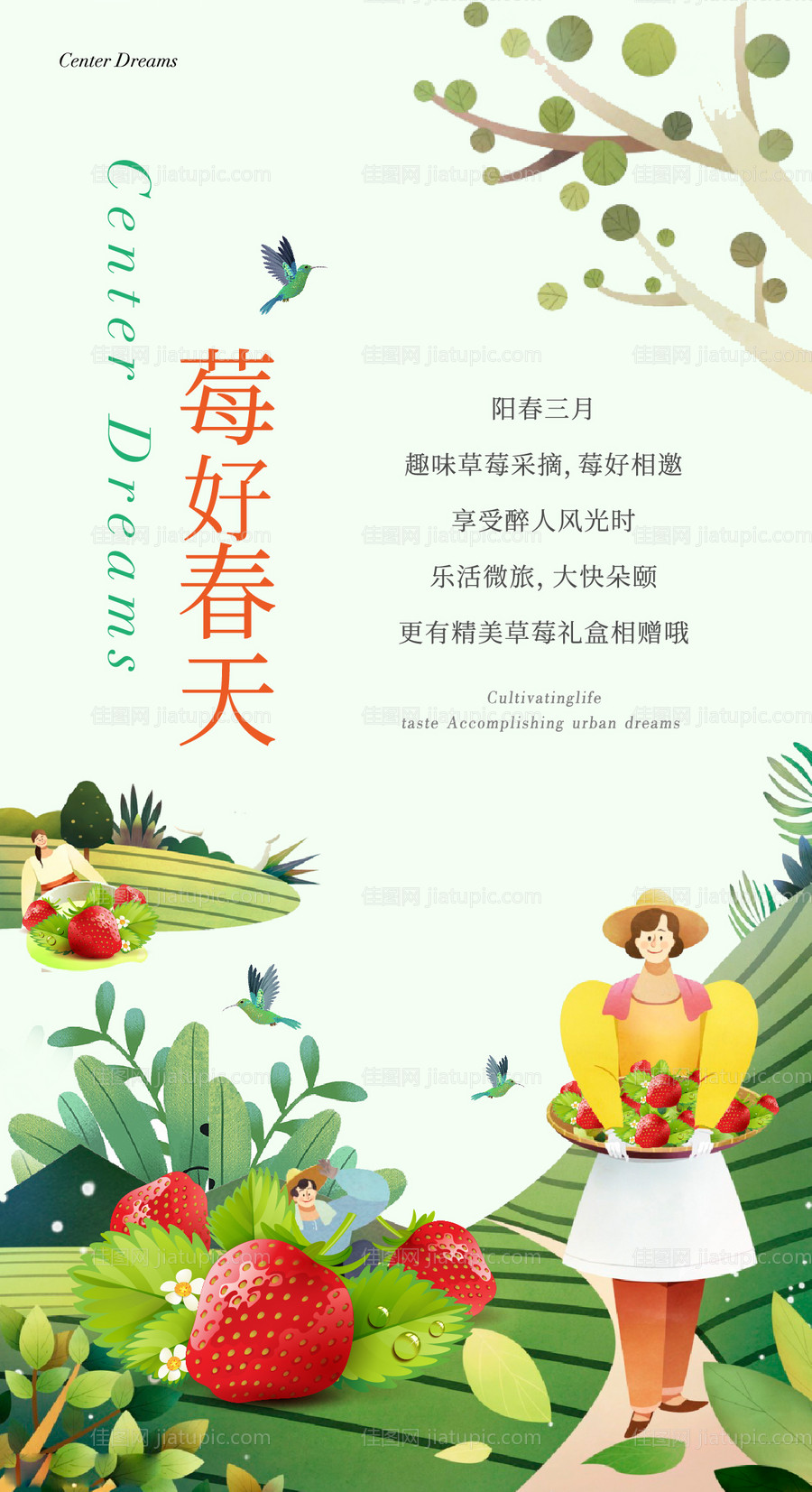 春天摘草莓活动海报-源文件