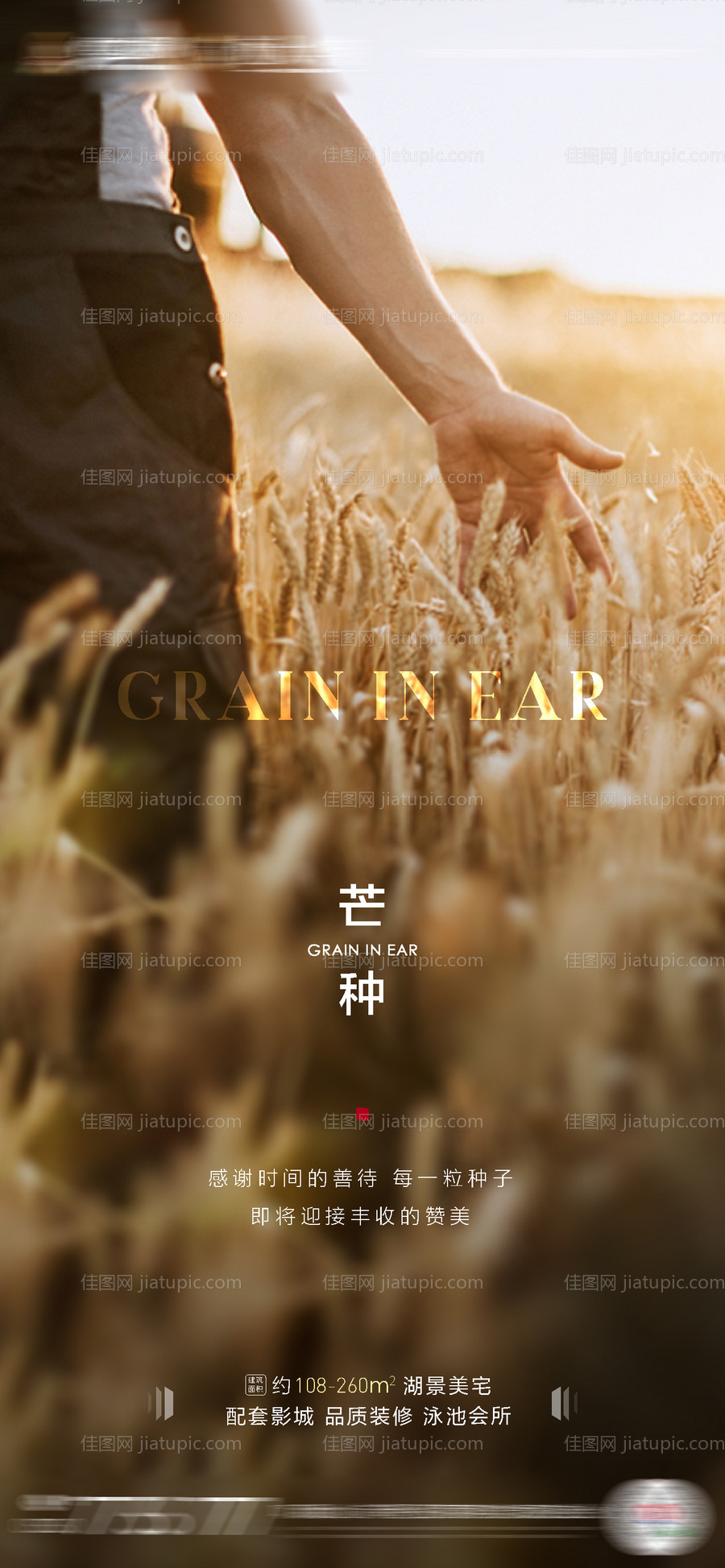 房地产芒种节气农历节日谷物丰收海报-源文件