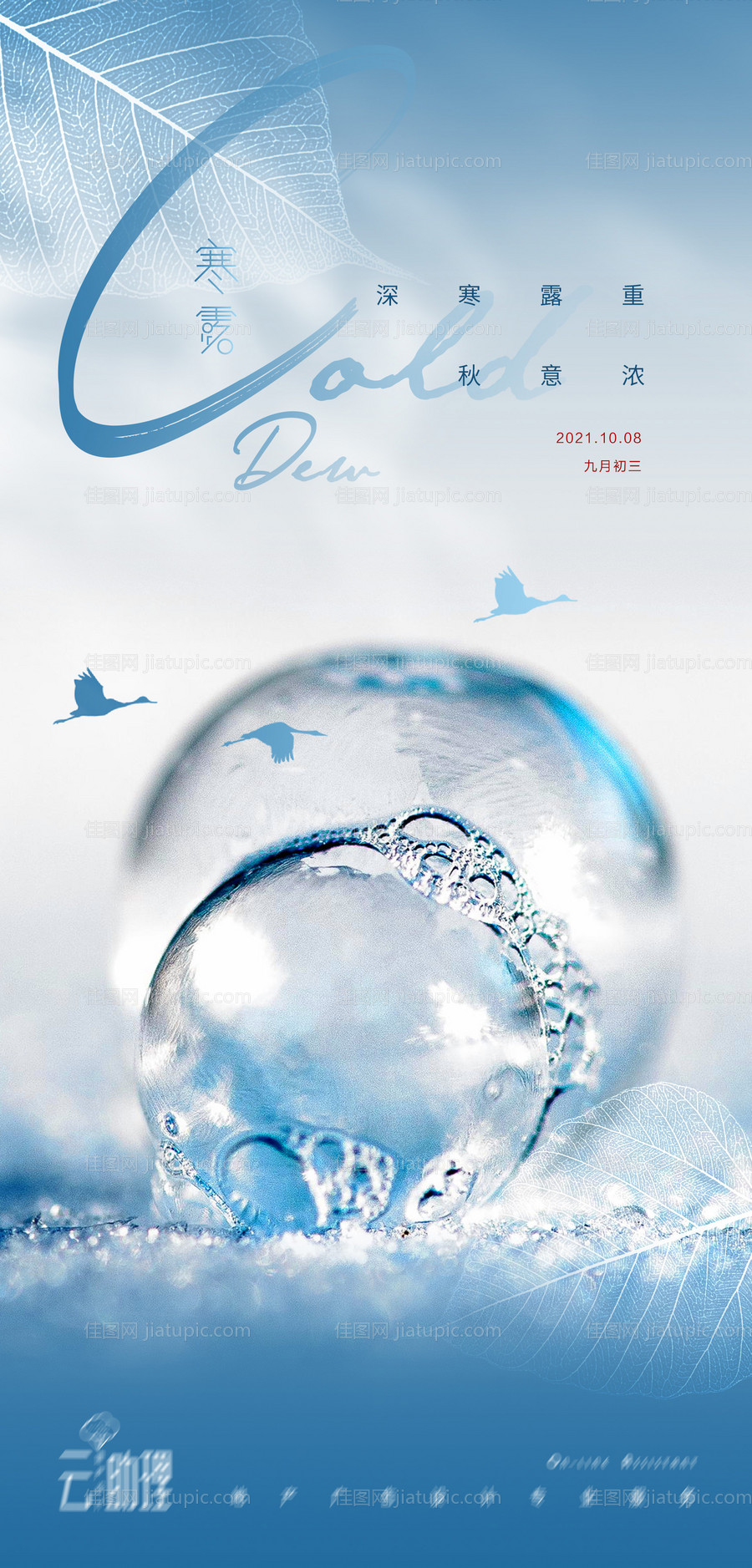 寒露海报-源文件