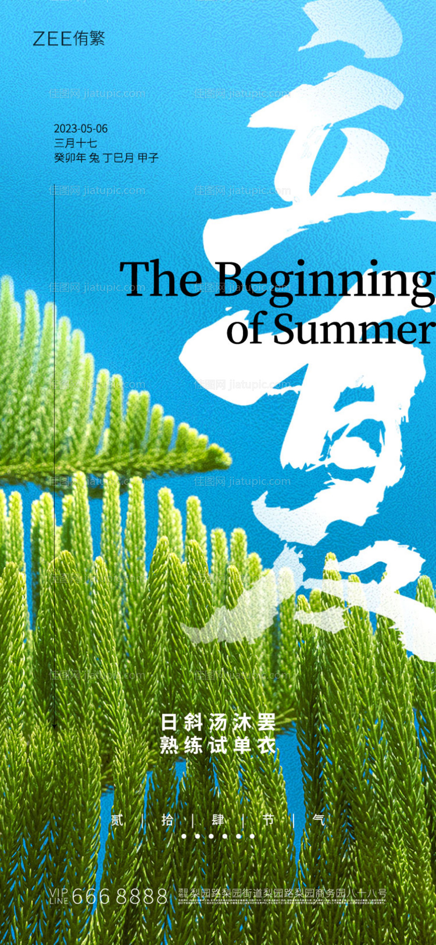 立夏节气海报 -源文件