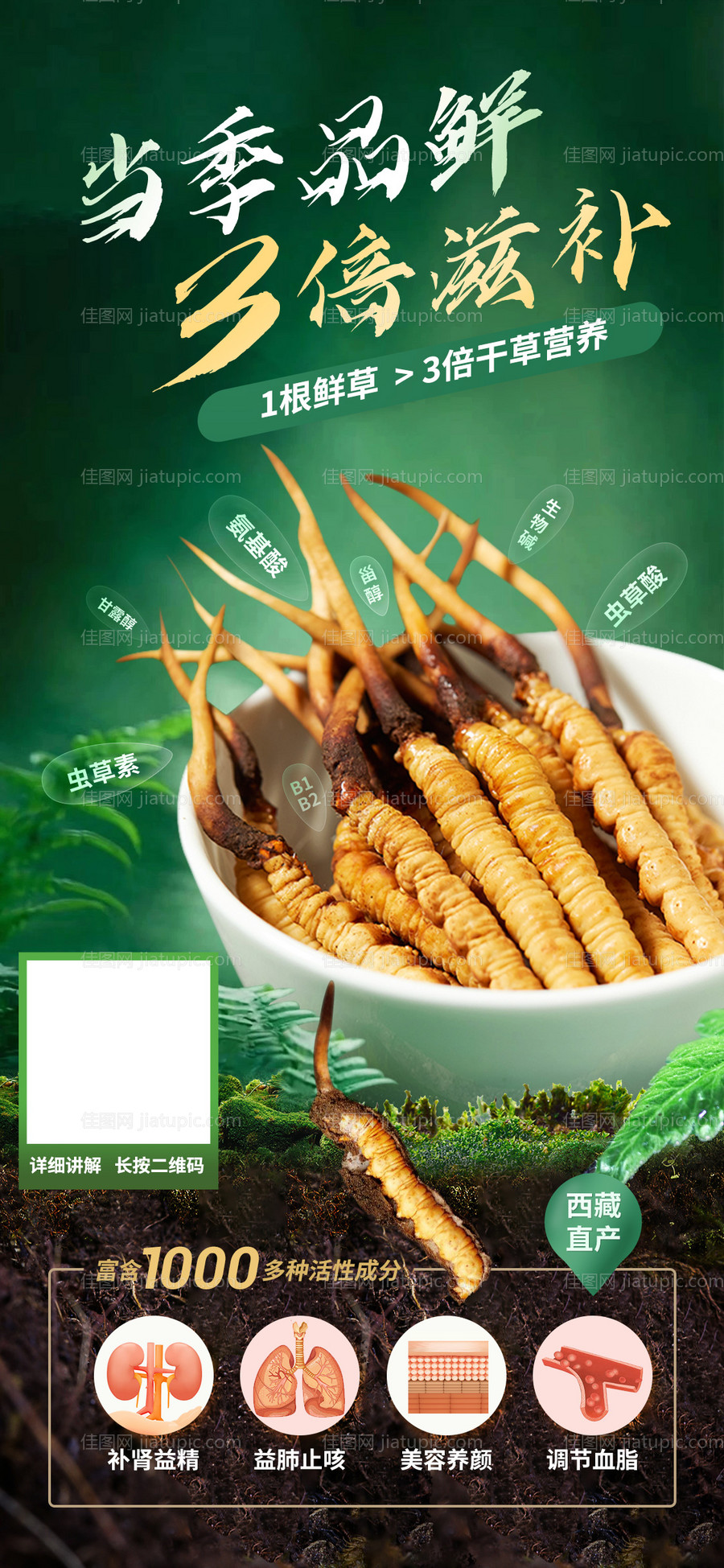 虫草海报电商BANNER-源文件