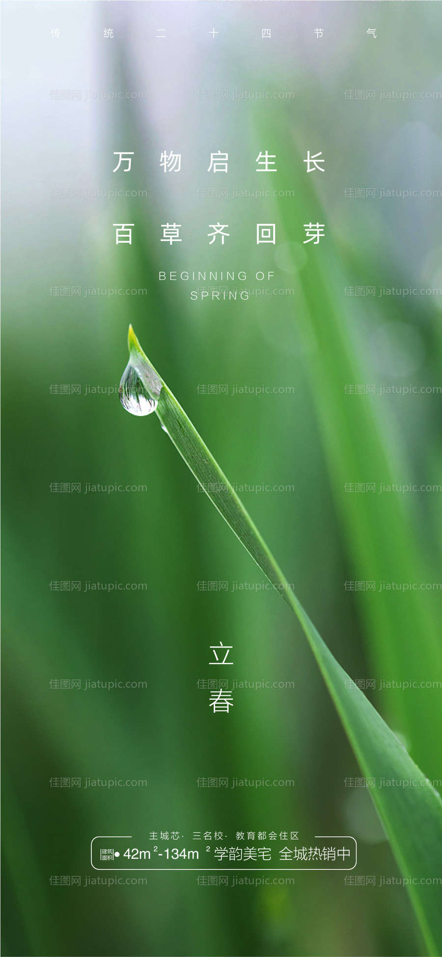 立春海报-源文件