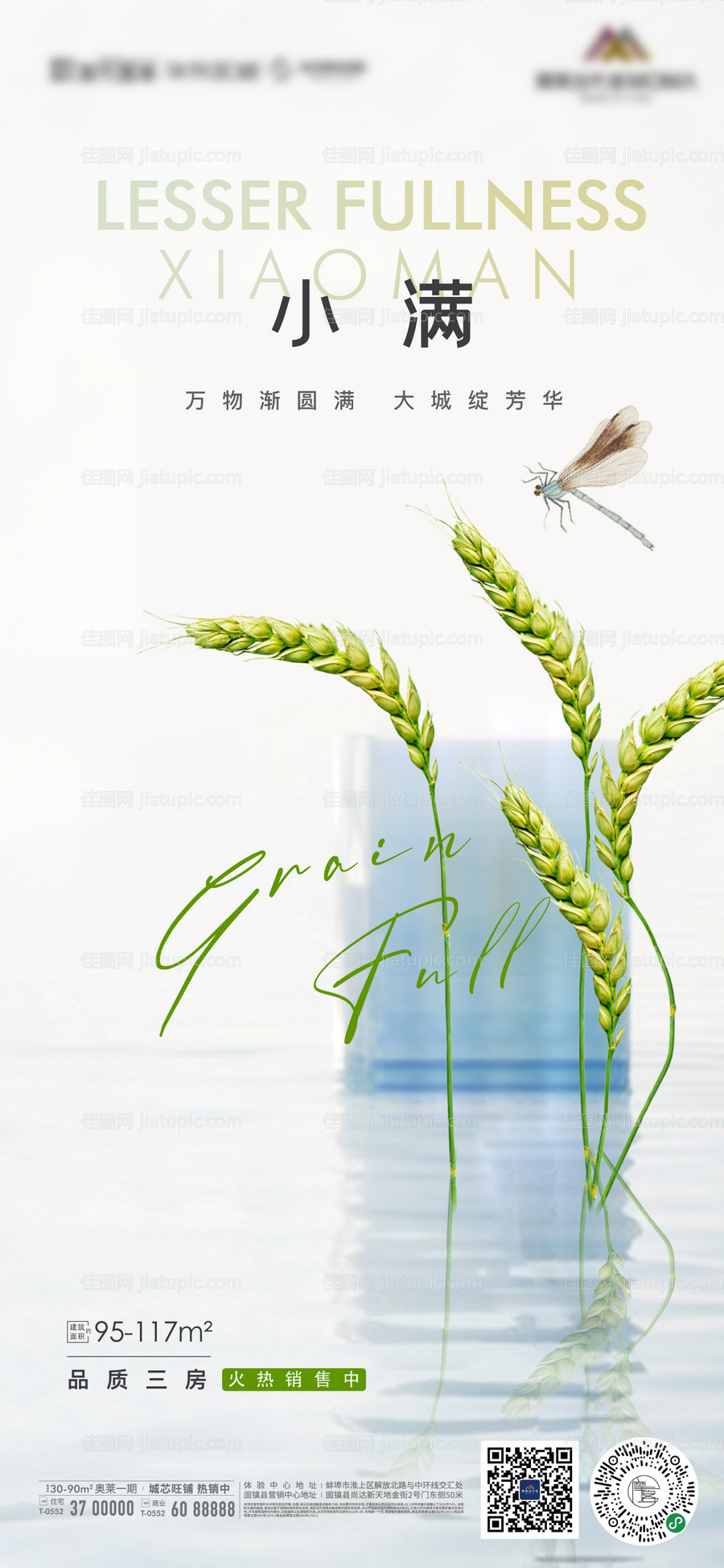 地产节气小满麦穗微信海报-源文件