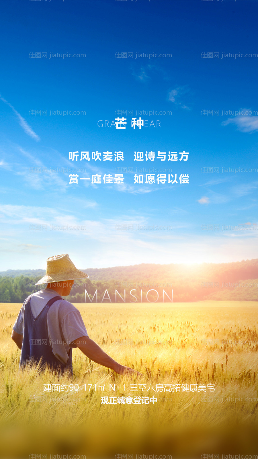 芒种节气海报-源文件