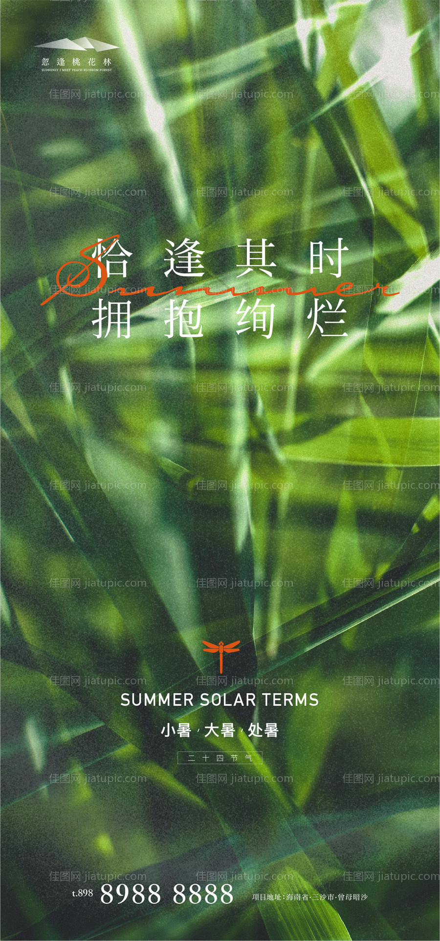 小暑大暑处暑-源文件