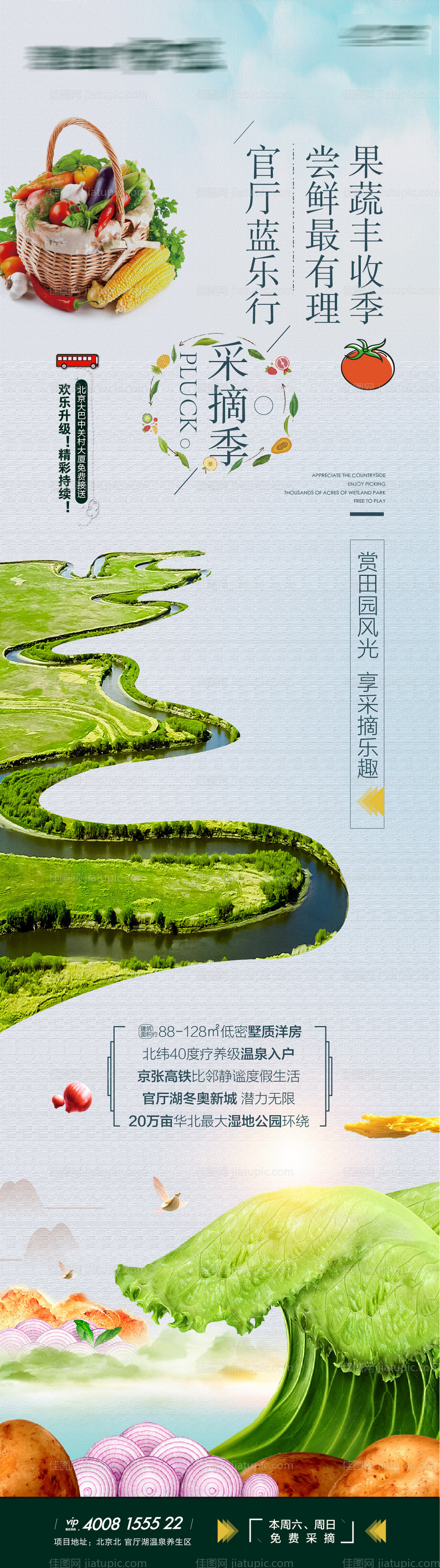 采摘活动长图-源文件