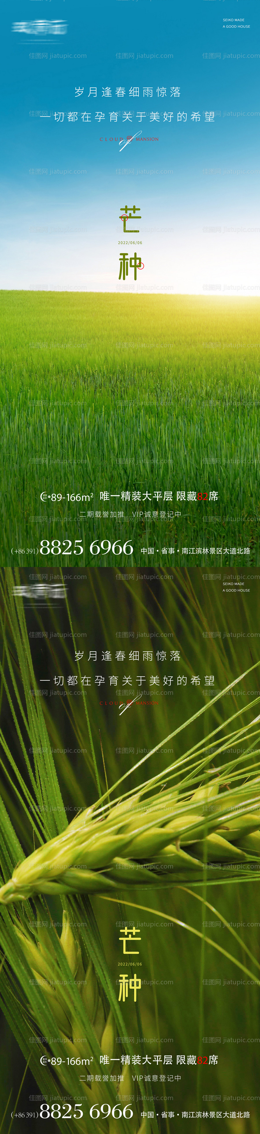 芒种节气系列海报-源文件