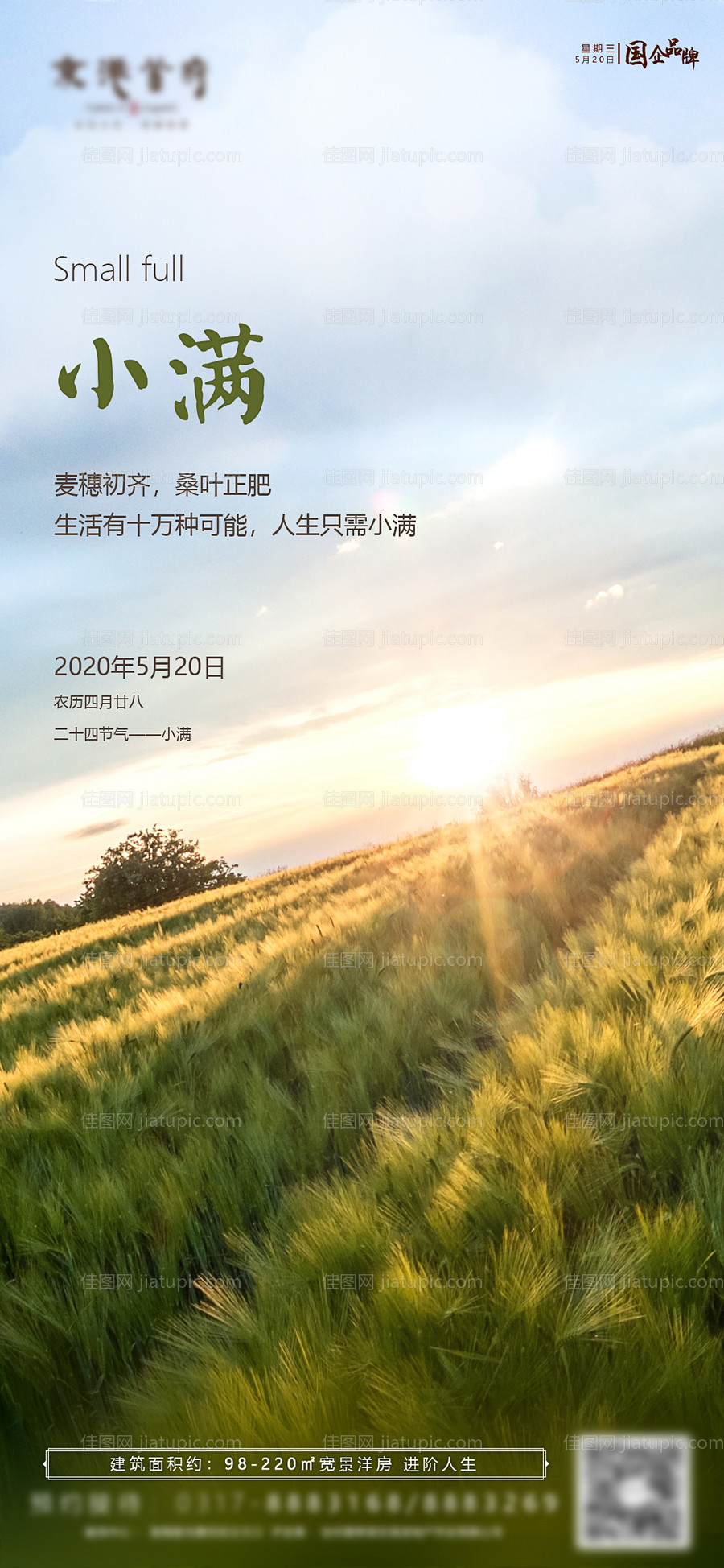 小满简约节气海报-源文件