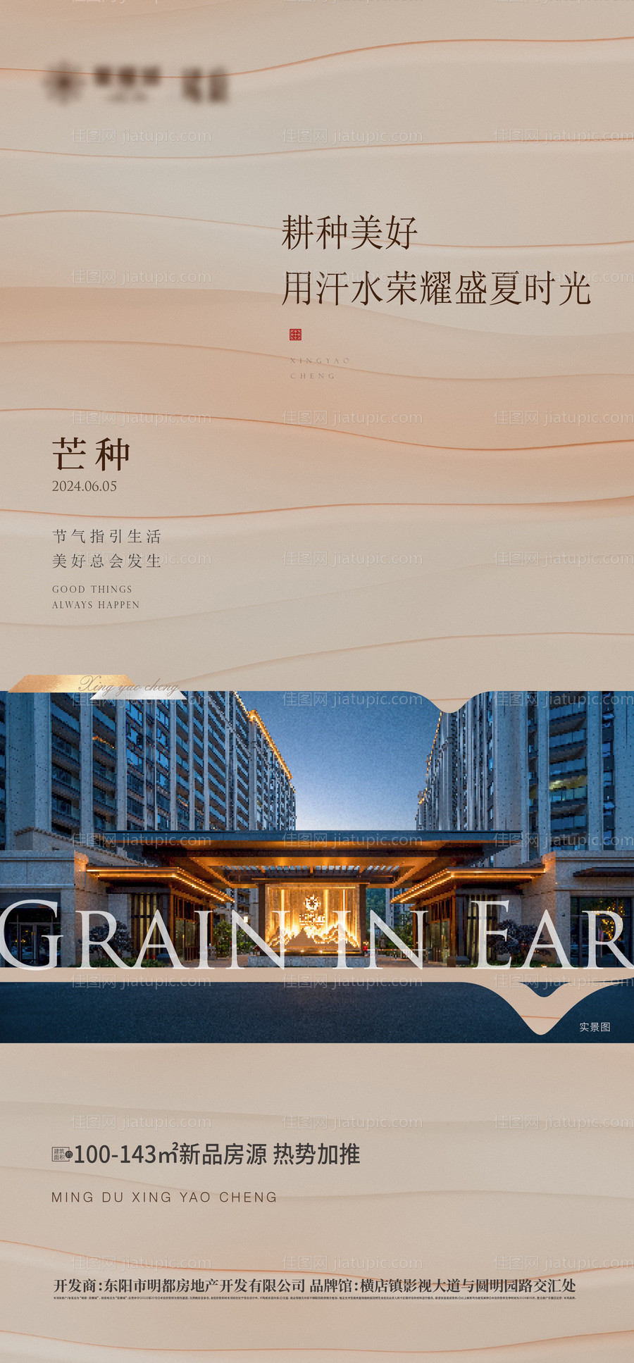 芒种节气海报 -源文件