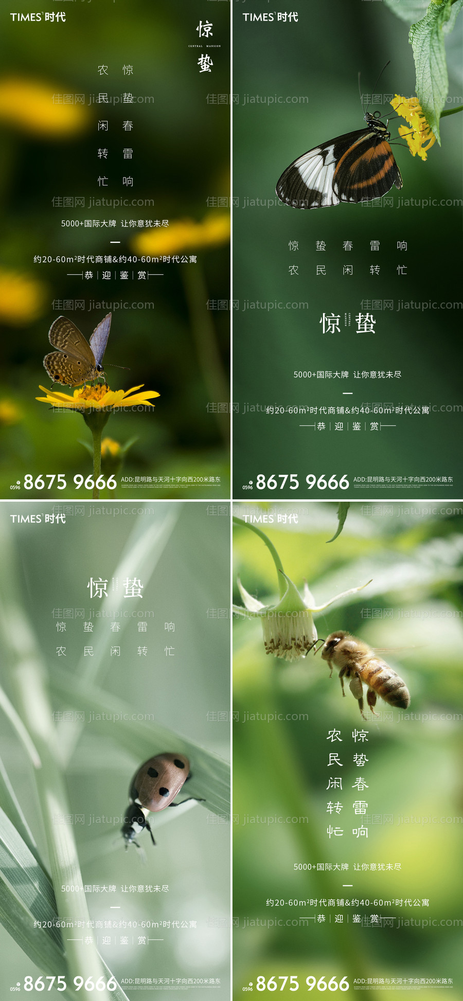 惊蛰节气海报-源文件