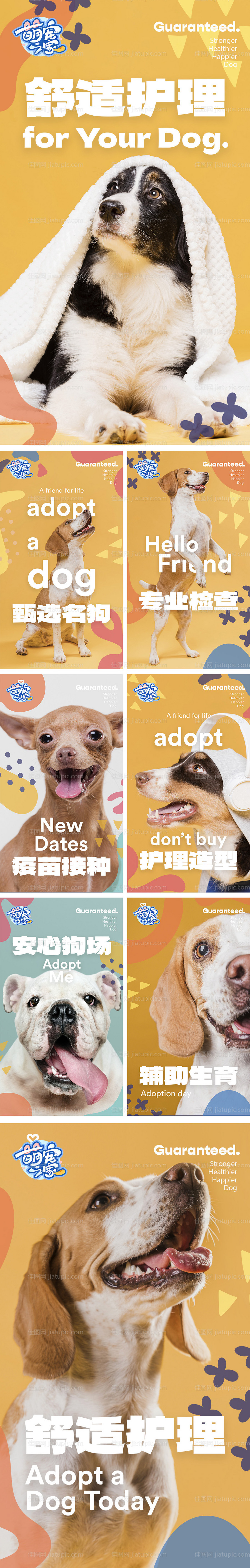 宠物店海报-源文件