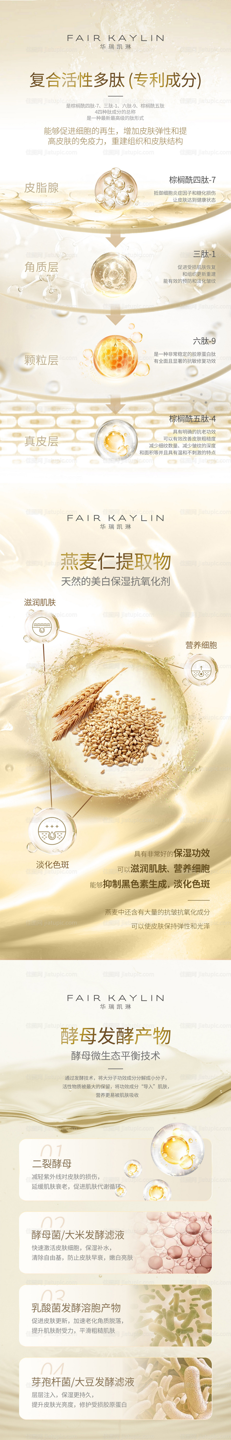 护肤品产品成分功效系列海报-源文件