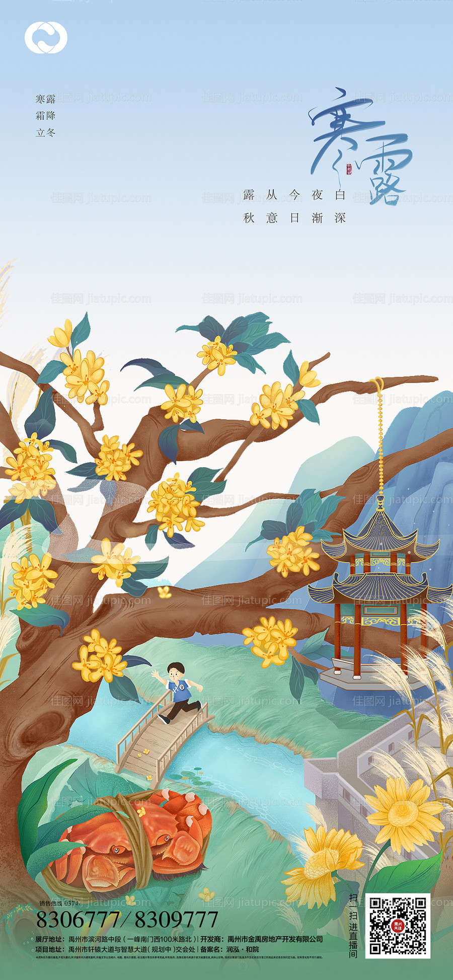 寒露霜降立冬海报-源文件