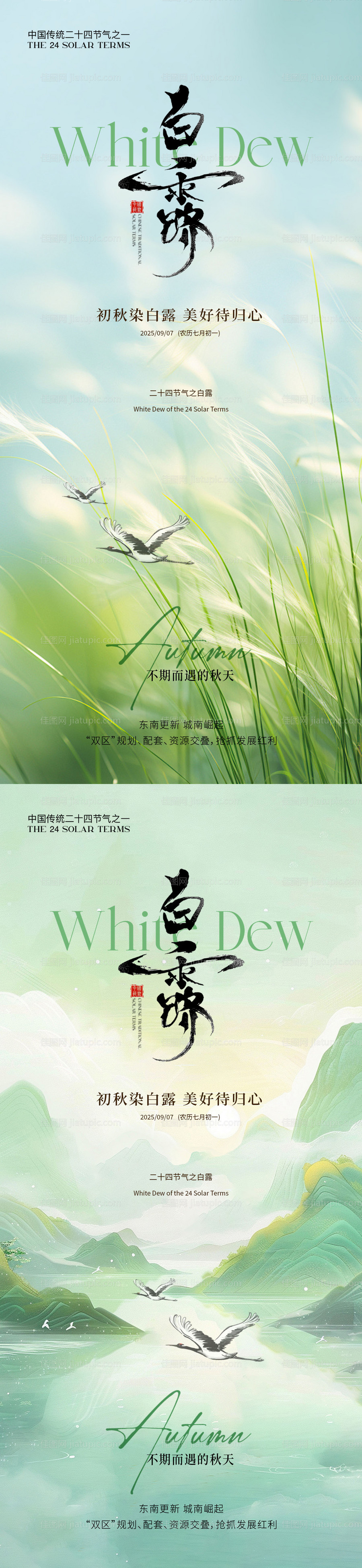 白露简约意境节气海报-源文件