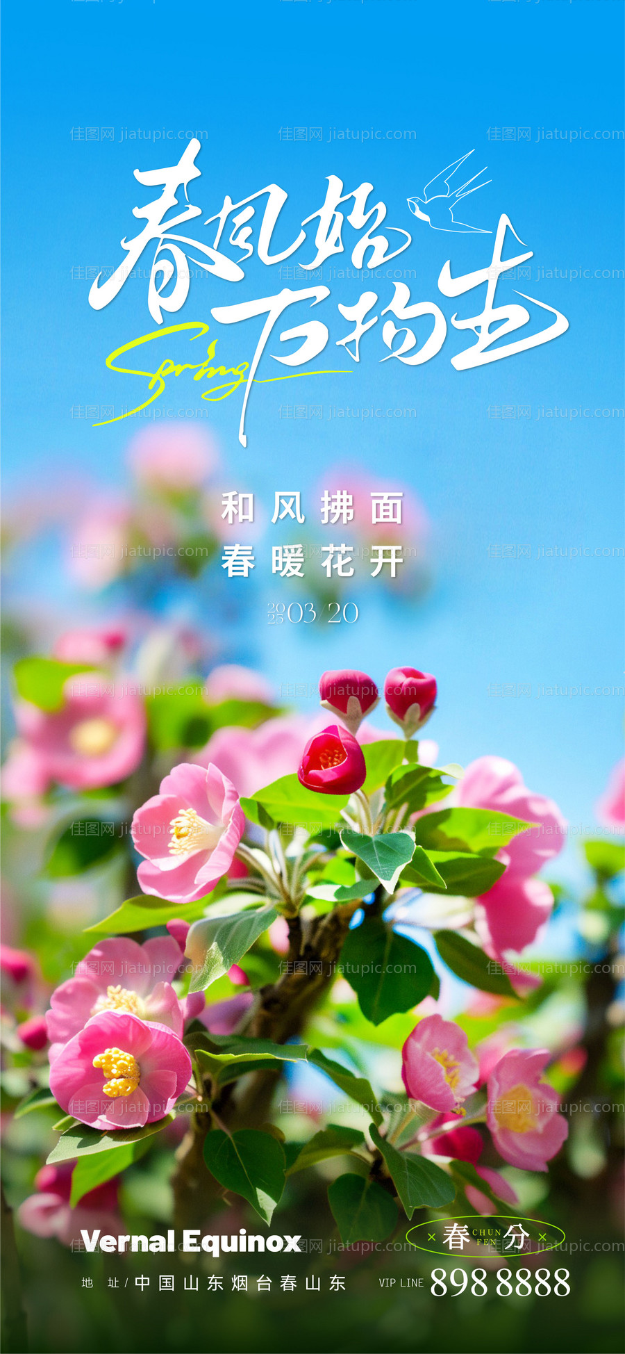 春分节气海报-源文件