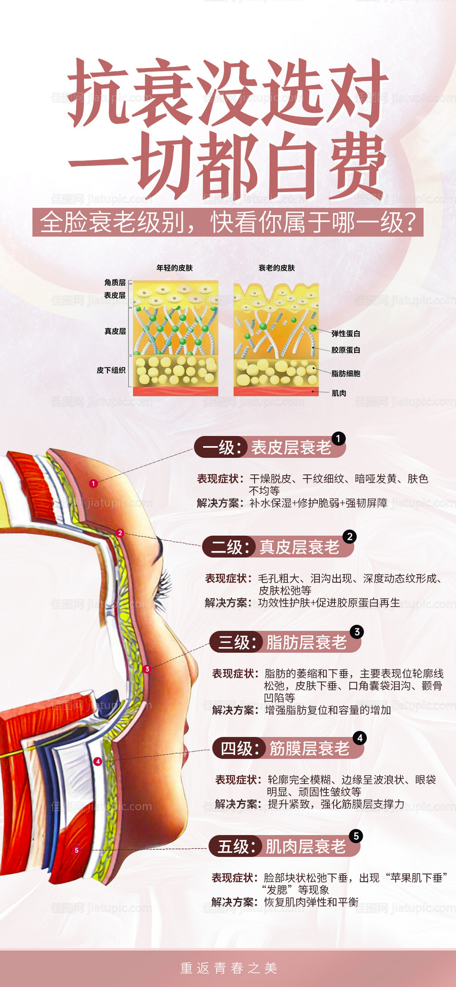 衰老级别海报海报-源文件