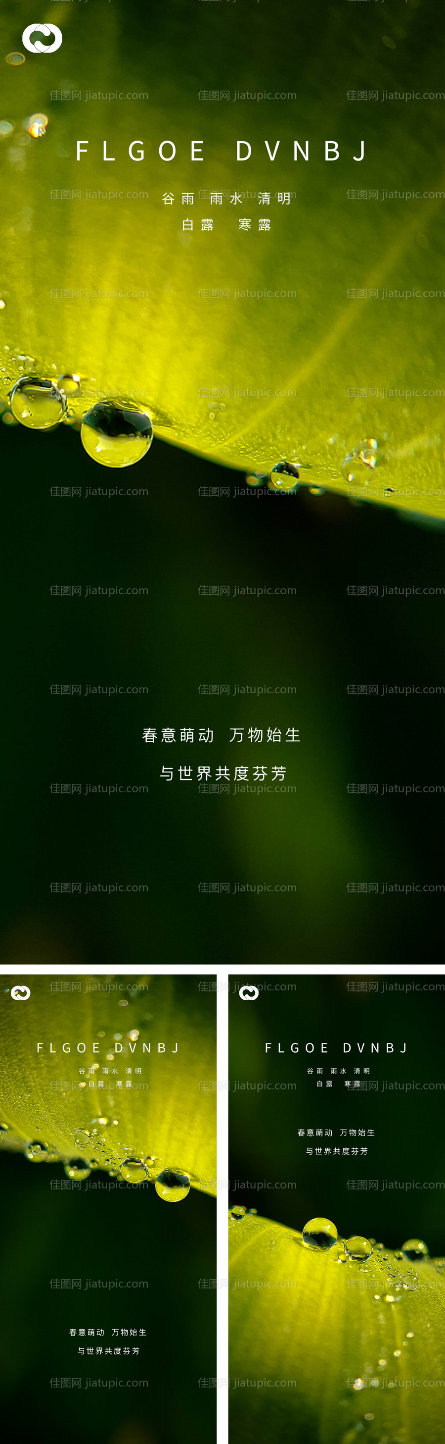 雨水谷雨清明白露寒露系列海报-源文件