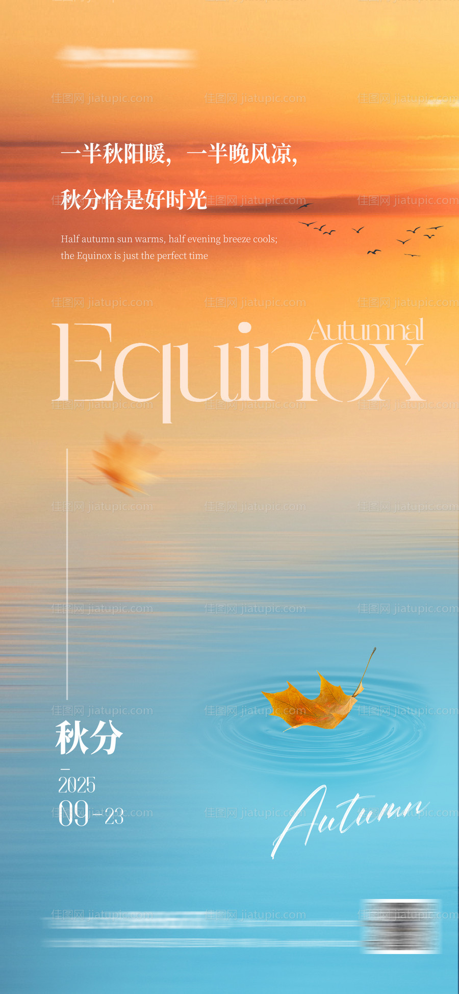 清新唯美秋分节气海报-源文件