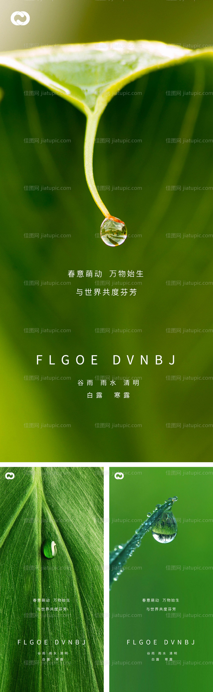 雨水谷雨清明白露寒露系列海报-源文件