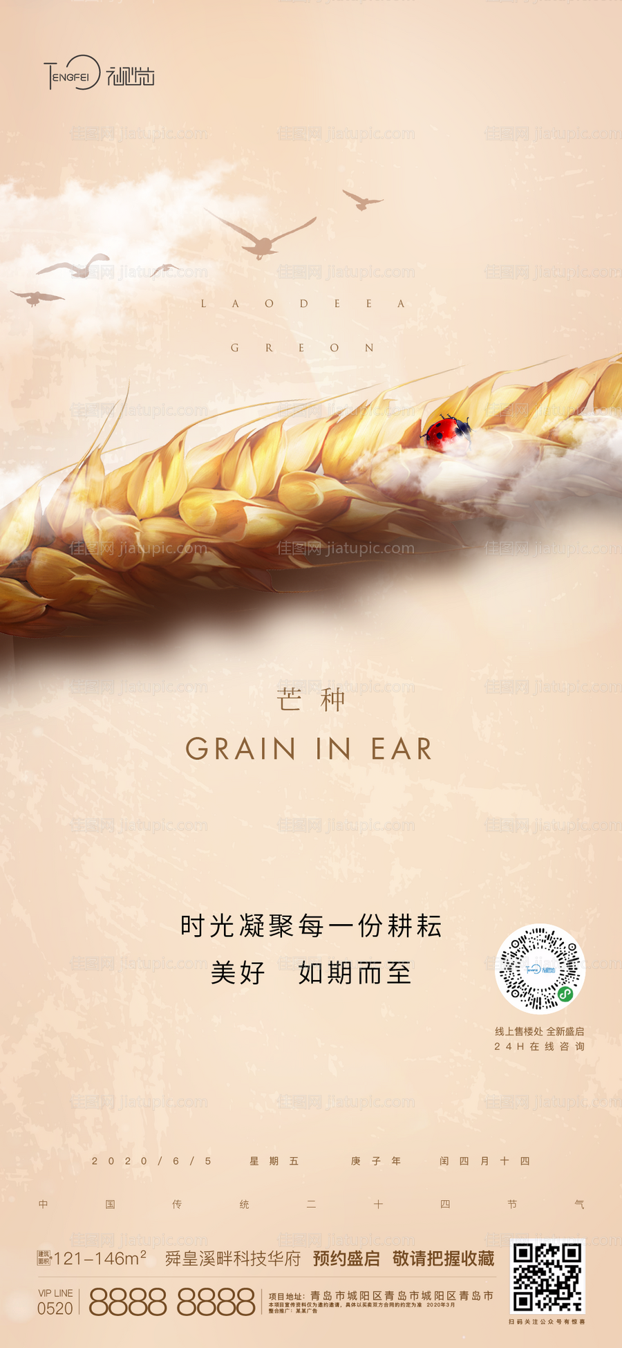 芒种节气海报-源文件