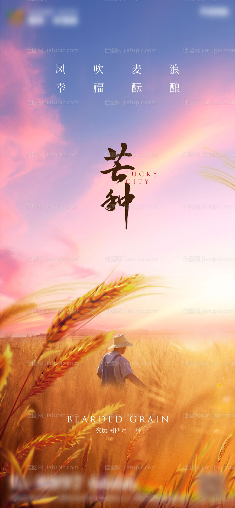 地产芒种海报-源文件