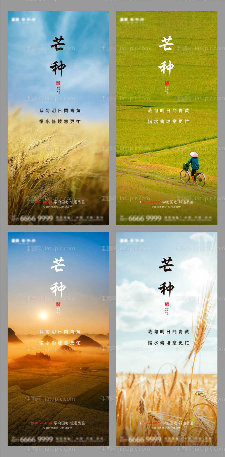 地产芒种节气海报系列-源文件