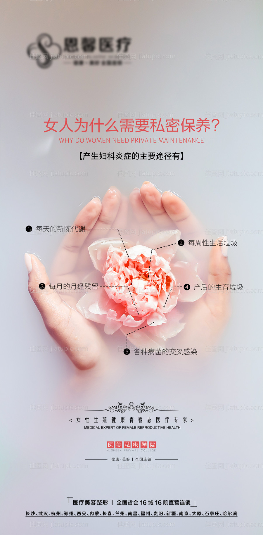 女性私密妇科保养-源文件