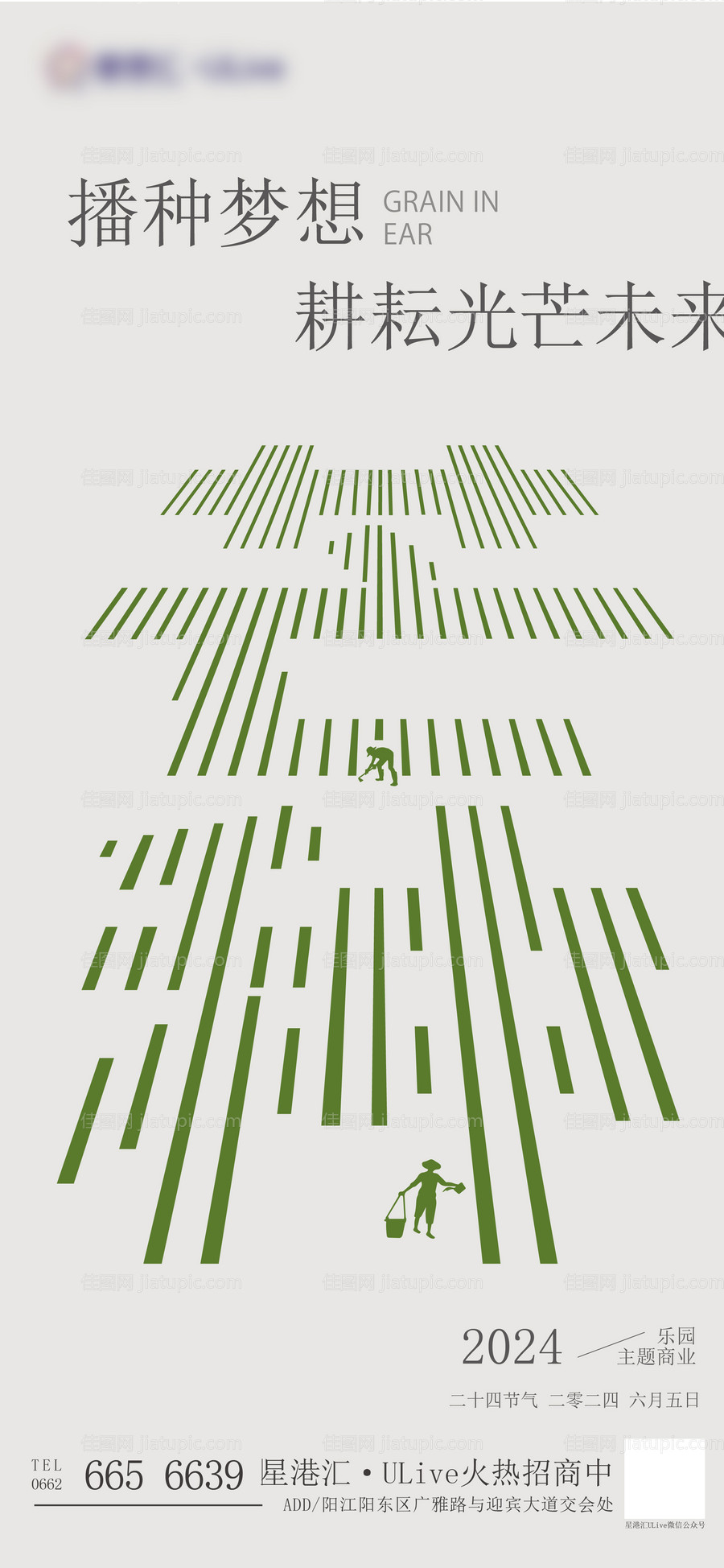 芒种节气海报-源文件