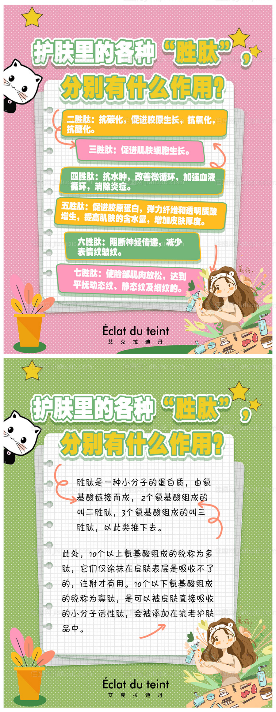 皮肤护肤小知识分享海报-源文件