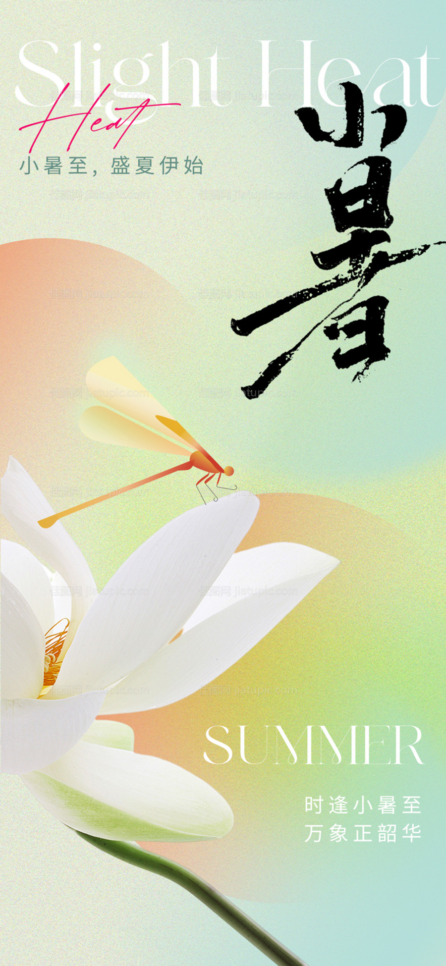 东方美学意境小暑节气海报-源文件