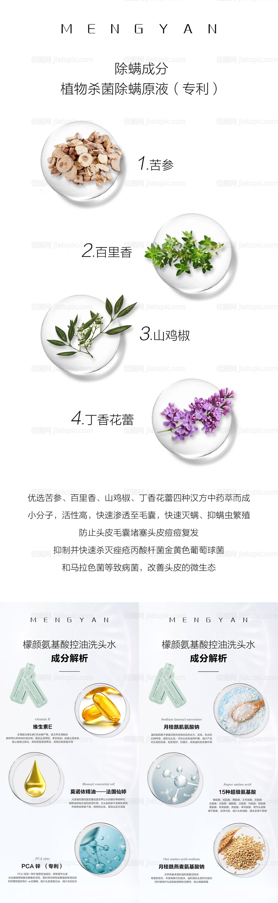 微商洗发水护发产品成分系列海报-源文件