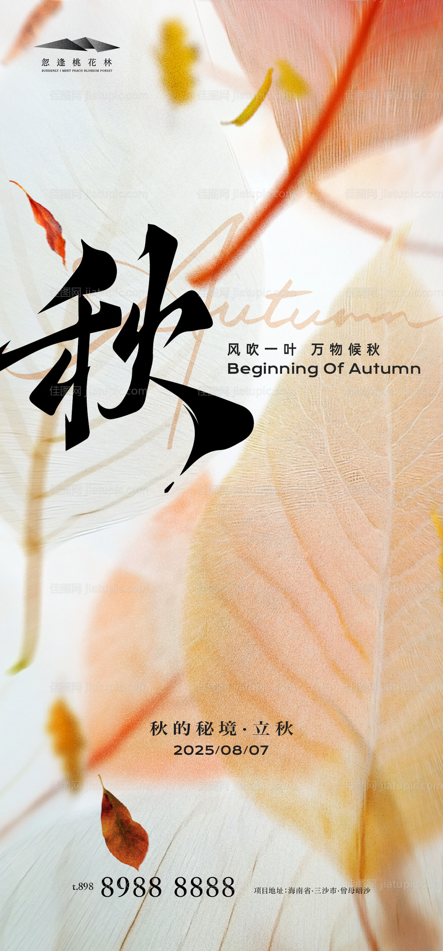 立秋海报-源文件