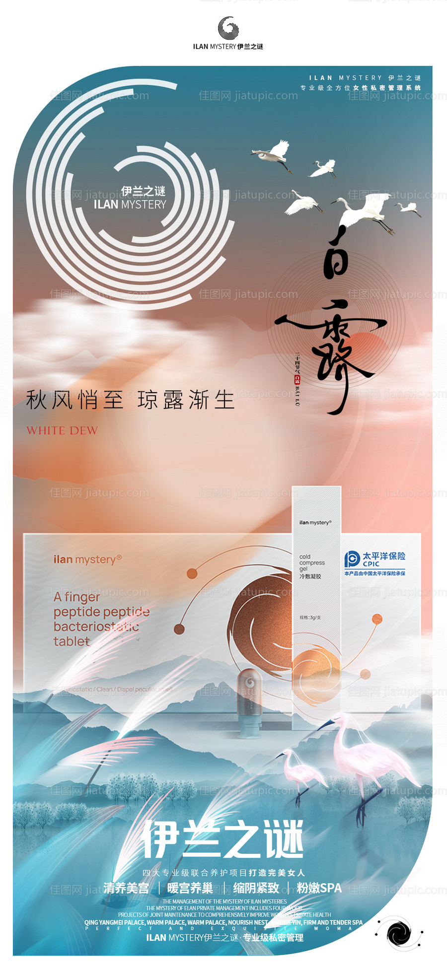 微商白露海报-源文件