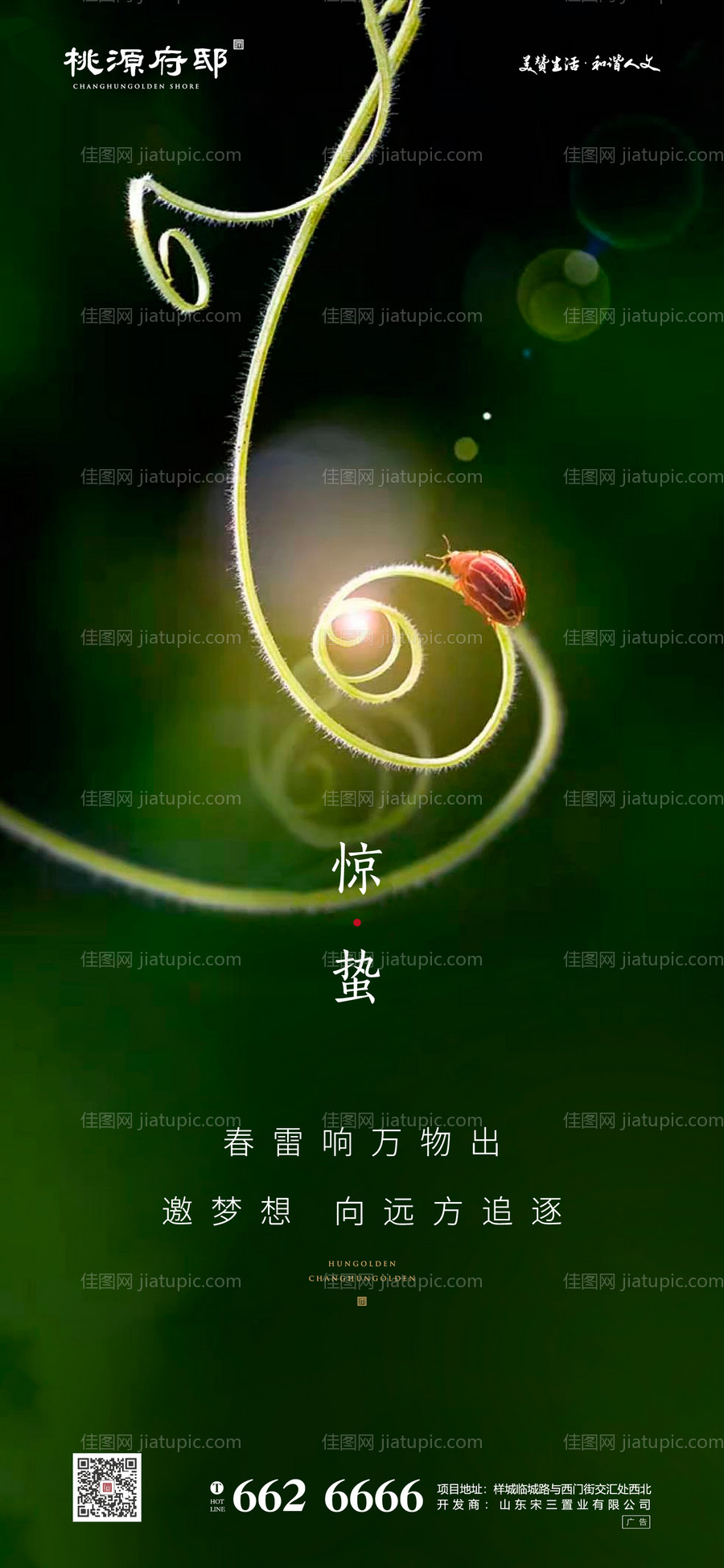 大气简洁绿色惊蛰移动端海报-源文件