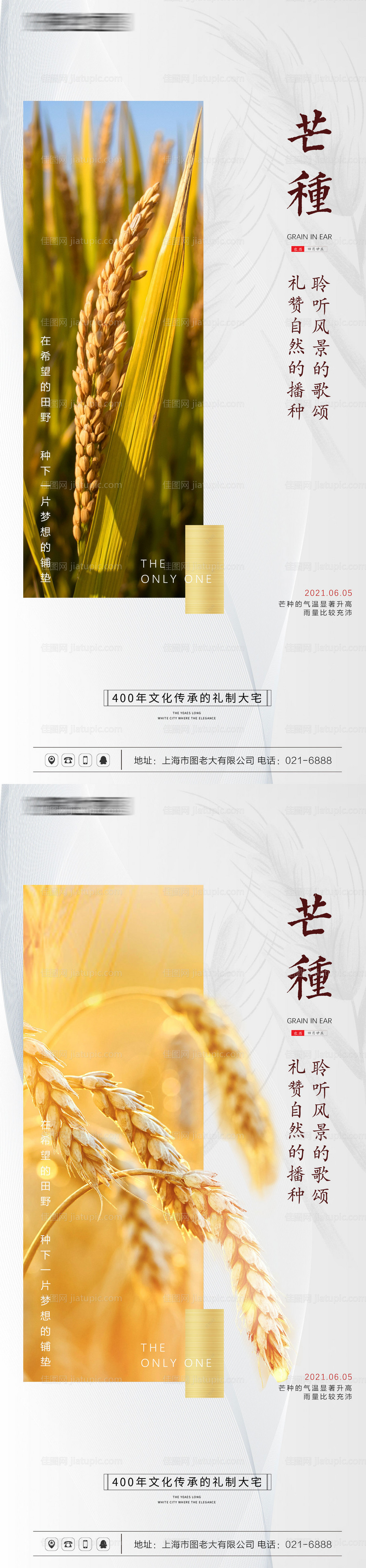 芒种节气系列海报-源文件