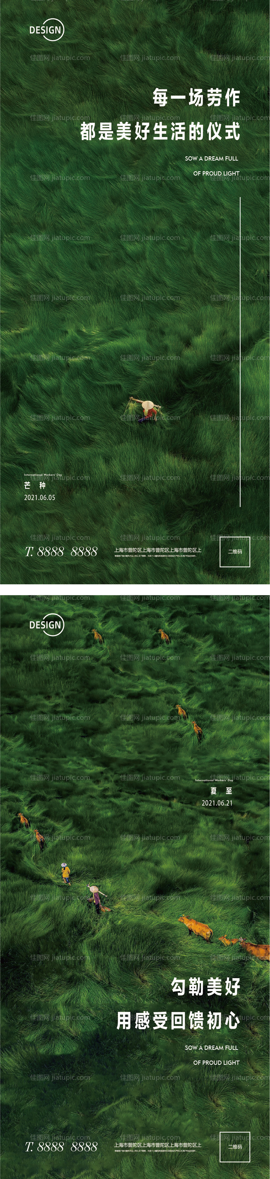 芒种夏至微信海报-源文件