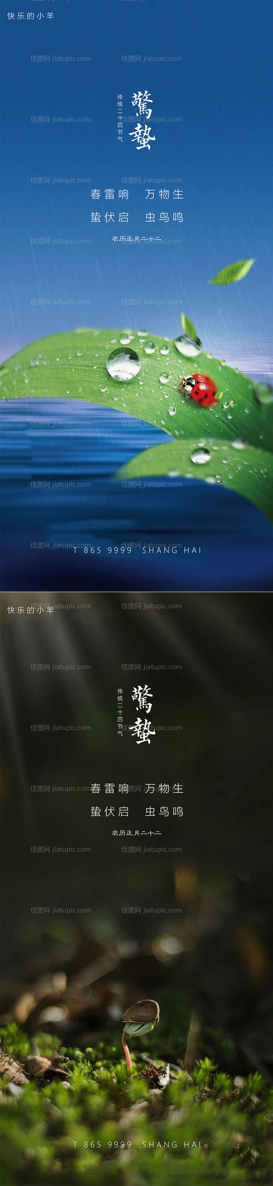 惊蛰节气海报-源文件