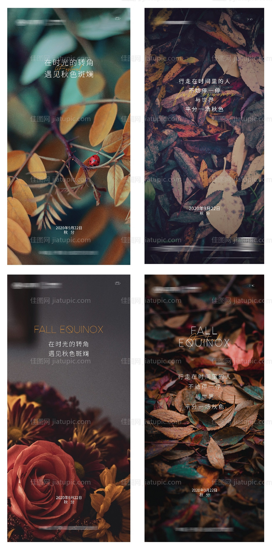 秋分海报-源文件