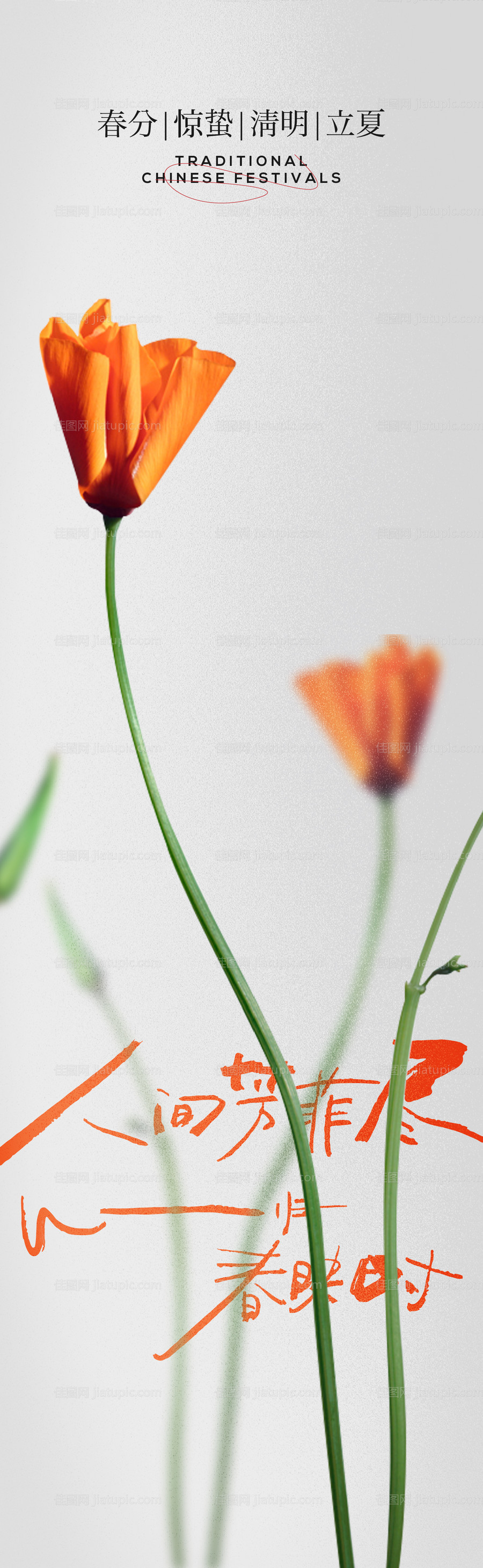 春天花朵长图-源文件