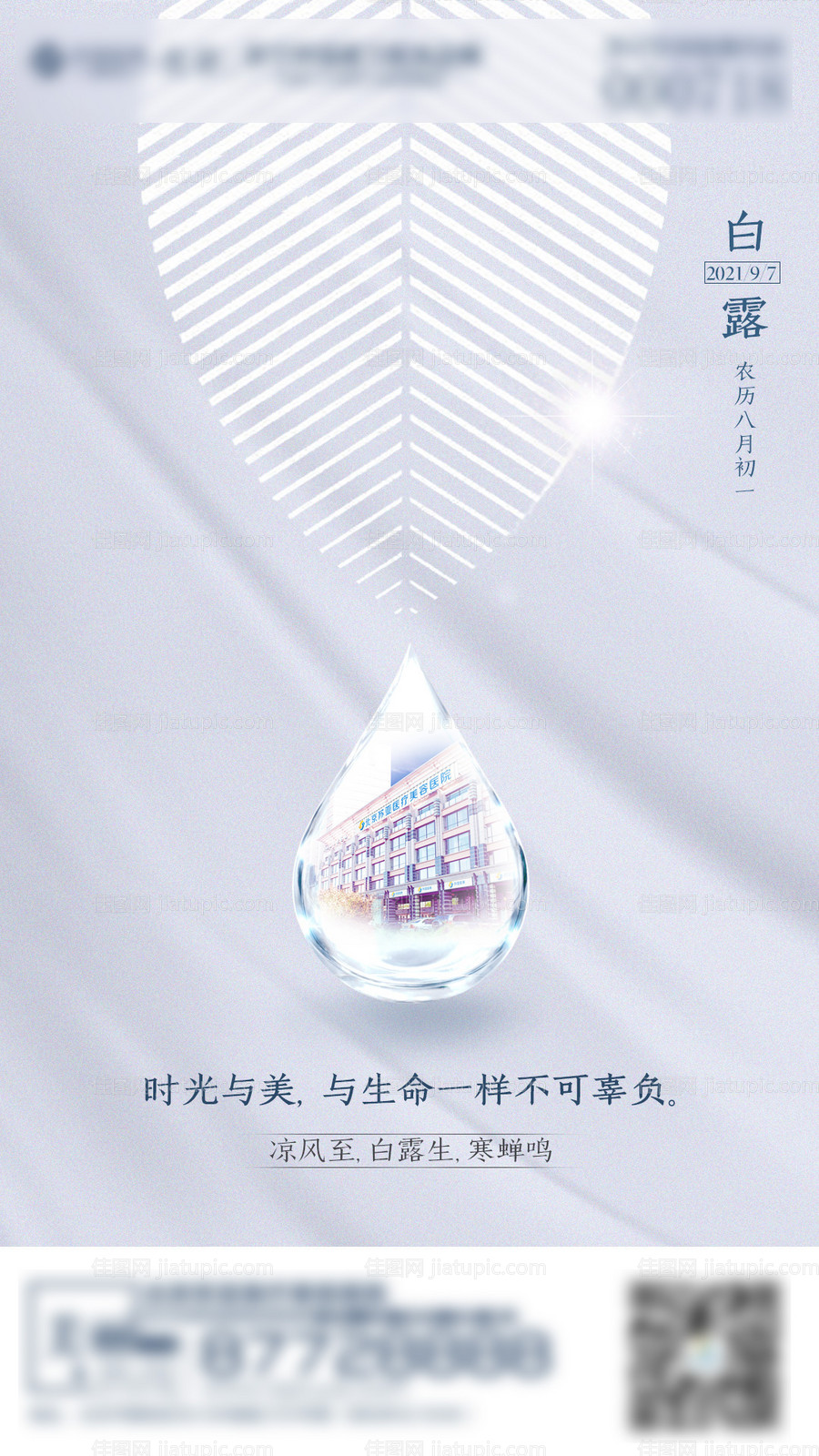 医美白露海报-源文件
