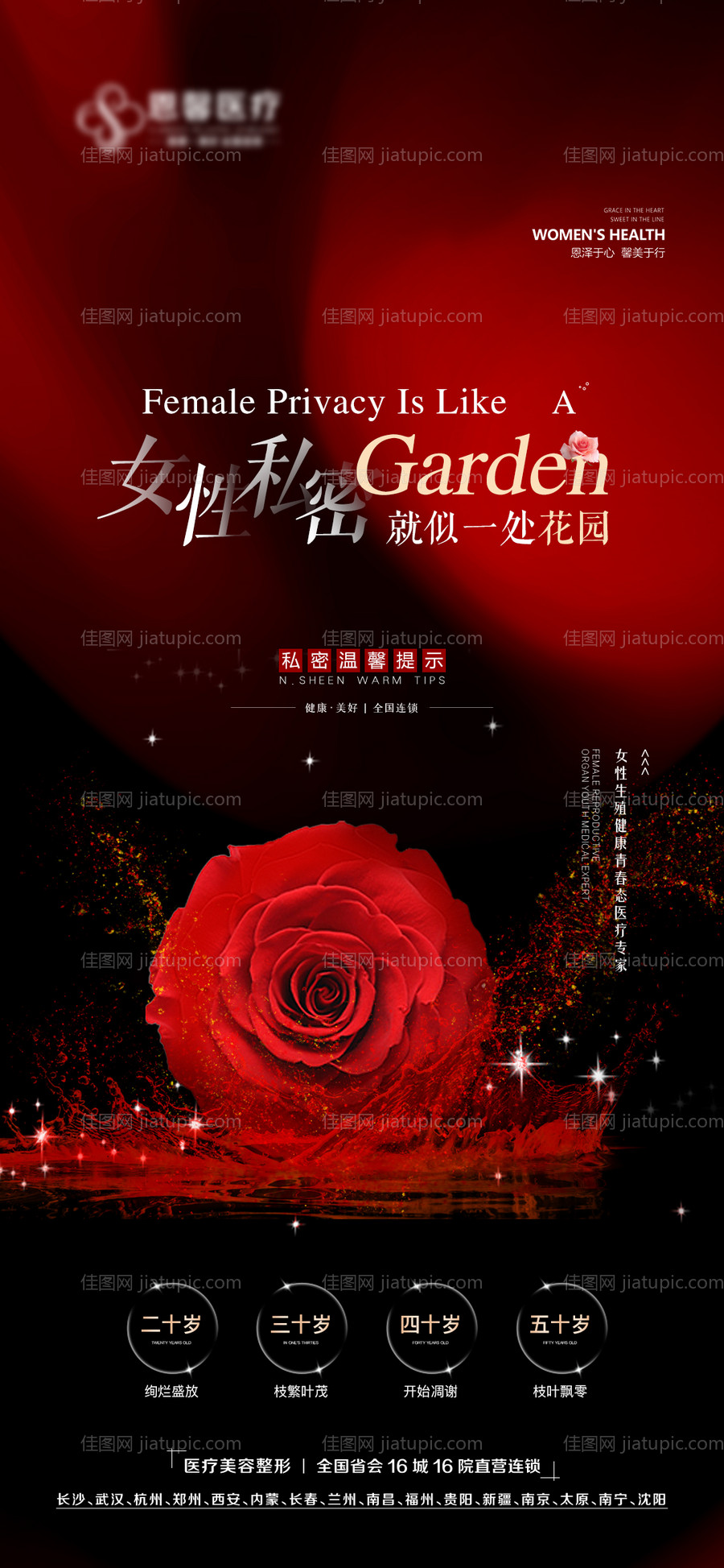 女性私密花园玫瑰花海报-源文件