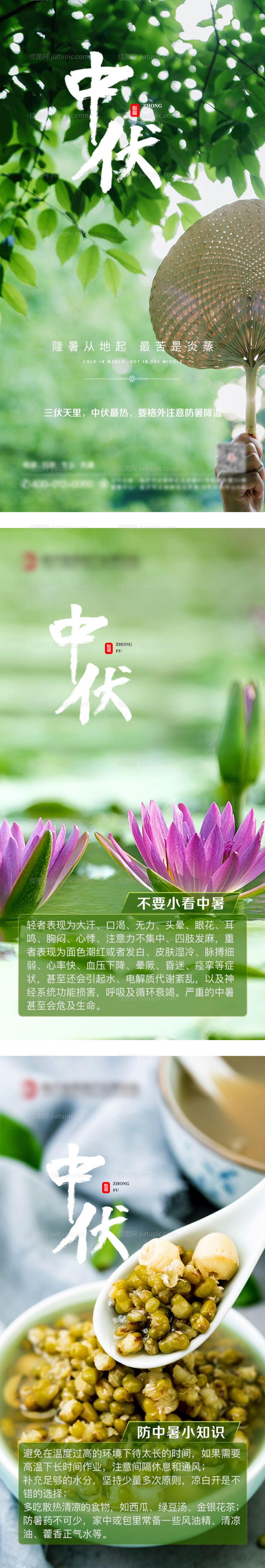 三伏天中伏系列海报-源文件