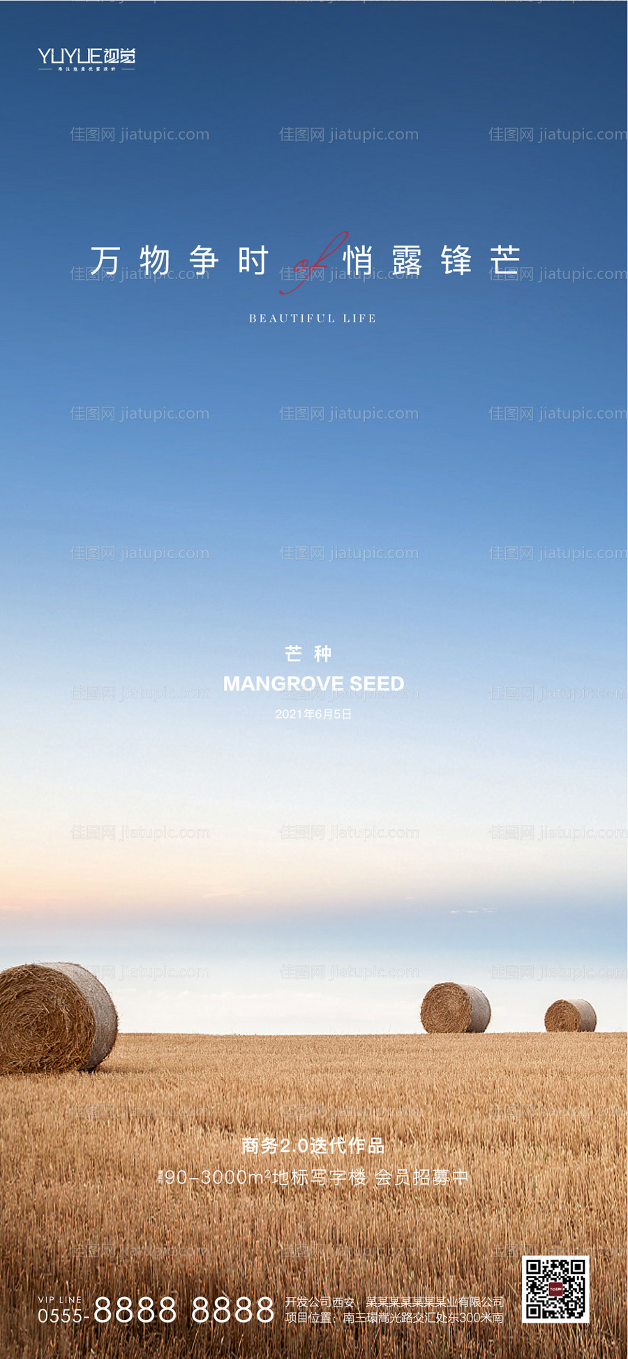 芒种节气海报-源文件