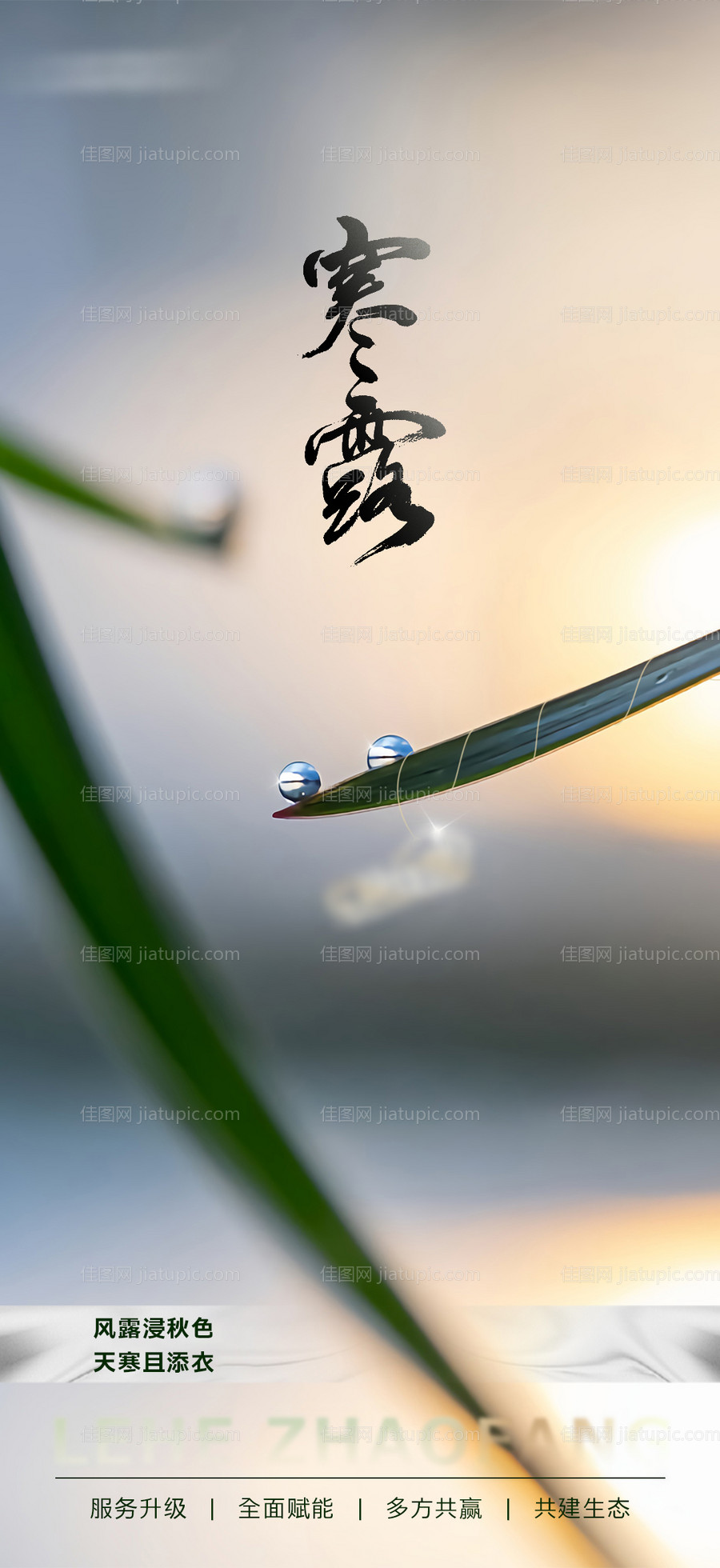 二十四节气寒露-源文件